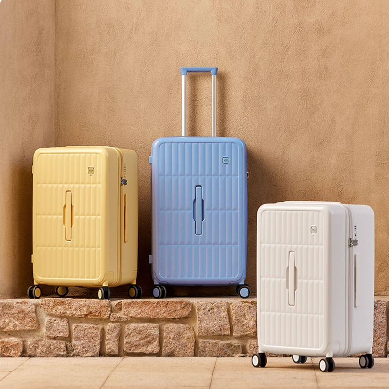 Side Opening Lid Suitcase Envi - Spinner Wheel Rolling Suitcase 20 Inch 评论和价格