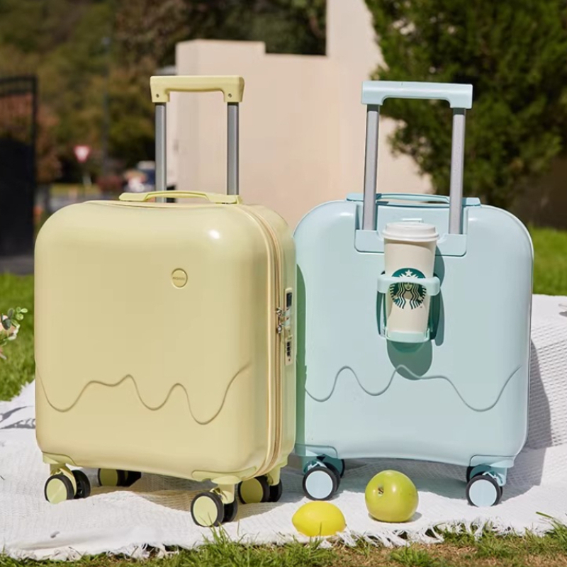 Small Children's Luggage 20 In - Spinner Wheel Rolling Suitcase 20 Inch 评论和价格